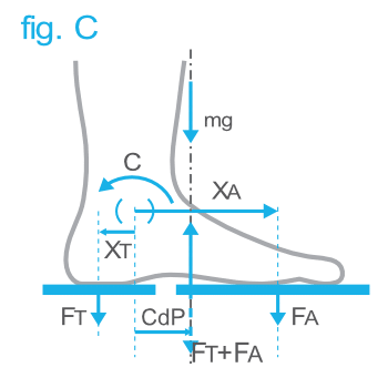 Pedana Stabilometrica Cyber-Sabots - Ripartizione del carico tra la zona metatarsale e il tallone