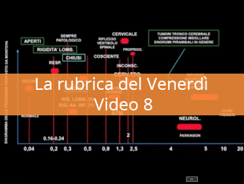 La rubrica del Venerdi 8