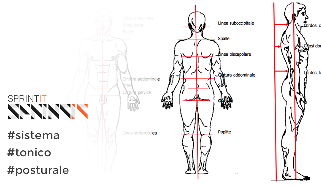 Il sistema tonico posturale