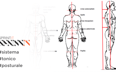 Il sistema tonico posturale