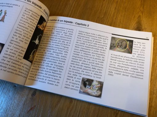 Posturologia 4.0 - immagine 3