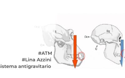 La relazione occluso-posturale: la lotta antigravitaria