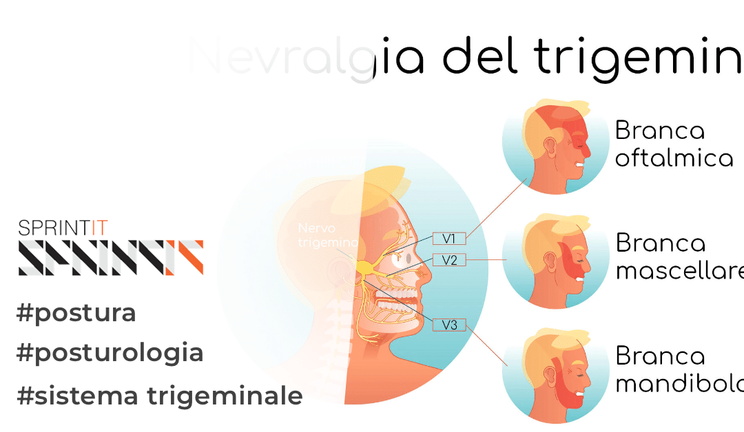 Le tre funzioni del nervo trigemino