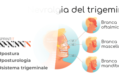 Le tre funzioni del nervo trigemino